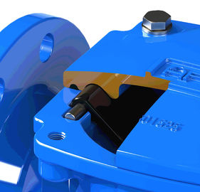 EPOXY phủ Swing Flex Check Valve cho hệ thống cống rãnh