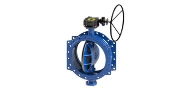 Ventil bướm ngoại hướng kép hình vòm hoặc phẳng với xương sườn