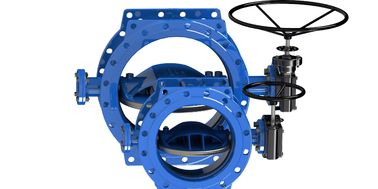 Máy phun bướm đặc biệt hai đầu có hệ số hoặc đầu trần với con dấu EPDM