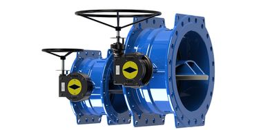 Bụi bướm Valve ngoại tâm kép