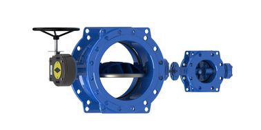 Ventil bướm ngoại hướng kép hình vòm hoặc phẳng với xương sườn