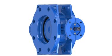 AWWA C504 150PSI Double Eccentric Butterfly Valve