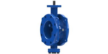 Thiết kế hình cung van bướm lập dị đôi với xương sườn mạnh hơn ở phía sau
