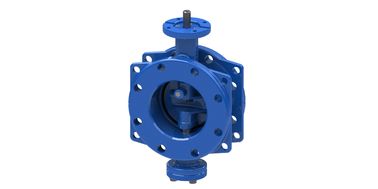 Máy phun bướm phi thường đĩa kép Epoxy được phủ bằng Worm Gear