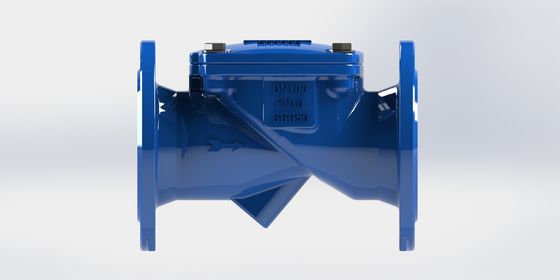 Van kiểm tra Swing Flex với chỉ số áp suất PN16, thân sắt mềm mại và vật liệu niêm phong EPDM cho các ứng dụng nước