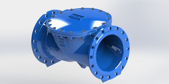 PN16 Van kiểm tra swing flex với vật liệu niêm phong EPDM và thân sắt mềm mại cho các ứng dụng nước