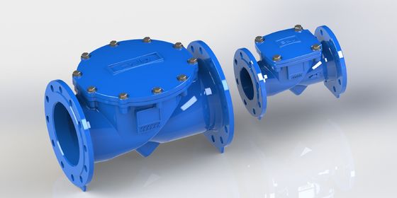 Van kiểm tra flex swing bằng sắt dẻo với kết nối sườn và niêm phong EPDM để điều khiển đường ống công nghiệp