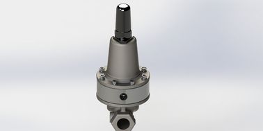 Các phụ kiện của van điều khiển lái có thể điều chỉnh áp suất SS304