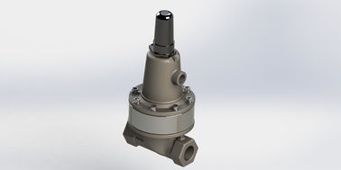 Van kiểm soát áp suất khác biệt bằng sắt mềm, SS304 Float Pilot Water Gate Valve