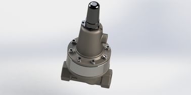 Van kiểm soát áp suất khác biệt bằng sắt mềm, SS304 Float Pilot Water Gate Valve