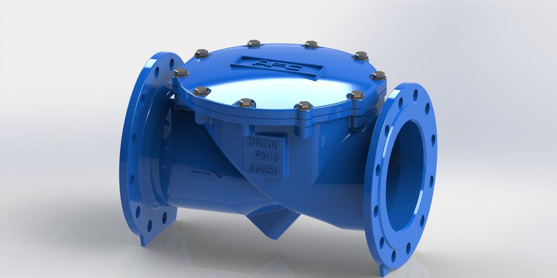 Van một chiều cánh xoay DN50-700 kết nối mặt bích PN10 và gioăng EPDM cho hệ thống chất lỏng công nghiệp