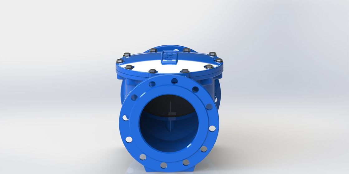 EPDM Seal Swing Flex Check Valve với DN50-700 Size Range và kết nối Flange PN10/PN16