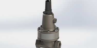 Các phụ kiện của van điều khiển lái có thể điều chỉnh áp suất SS304